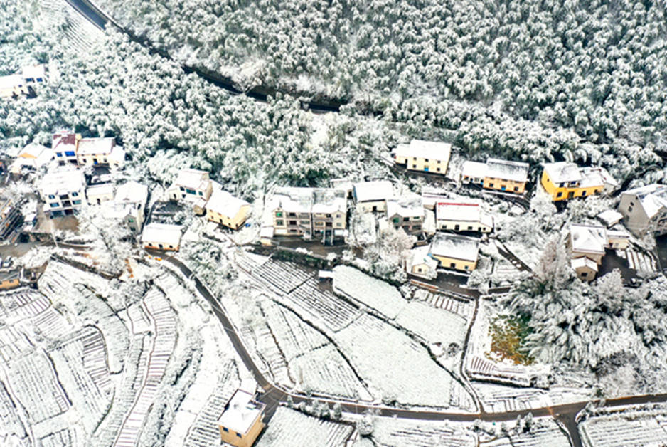 下雪啦！浙江山林秒變雪原